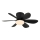 Globo - LED-dimmbarer Deckenventilator LED/5W/230V 2700-6500K schwarz + Fernbedienung