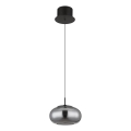 Globo - LED-Hängeleuchte LED/6W/230V schwarz