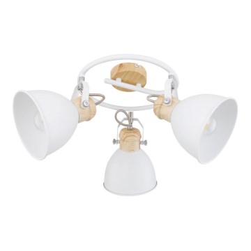 Globo - Luce Spot 3xE27/40W/230V