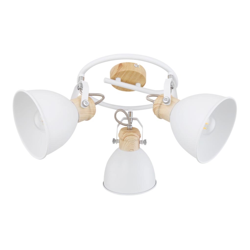 Globo - Luce Spot 3xE27/40W/230V
