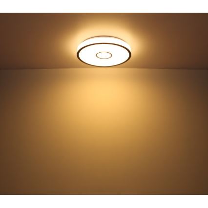 Globo- Luminaire RGB à intensité variable de salle de bain LED/30W/230V IP44 Wi-Fi Tuya + Télécommande