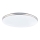 Globo - Plafoniera a LED/24W/230V