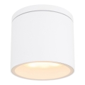 Globo - Plafoniera da esterno 1xGX53/11W/230V IP44