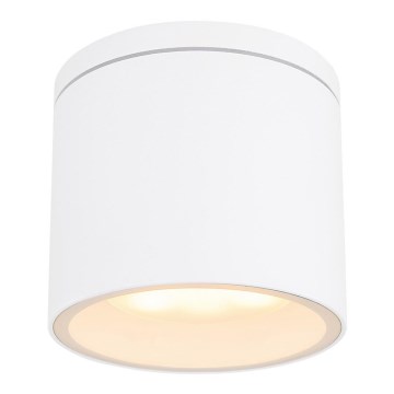 Globo - Plafoniera da esterno 1xGX53/11W/230V IP44