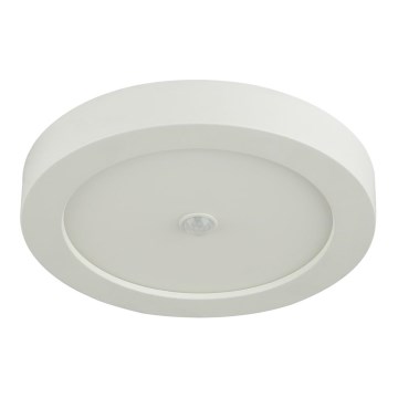 Globo - Plafoniera LED da esterno con sensore LED/18W/230V IP44