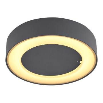 Globo - Plafoniera LED da esterno LED/12W/230V IP54