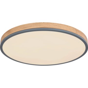 Globo - Plafoniera LED dimmerabile LED/40W/230V 2700-6500K diametro 60 cm + telecomando marrone/grigio
