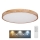 Globo - Plafoniera LED dimmerabile LED/60W/230V 3000-6000K + telecomando