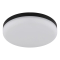 Globo - Plafoniera LED LED/12W/230V 4000K diametro 22 cm nero
