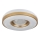 Globo - Plafoniera LED LED/24W/230V
