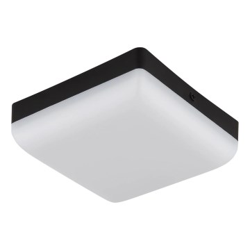 Globo - Plafoniera LED LED/8W/230V 4000K 12x12 cm nero