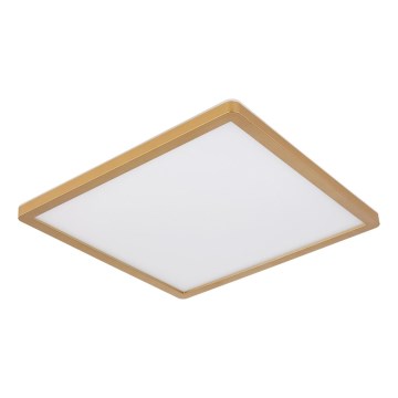 Globo - Plafonnier à intensité variable salle de bain LED/18W/230V 3000K IP44 29,4x29,4 cm laiton