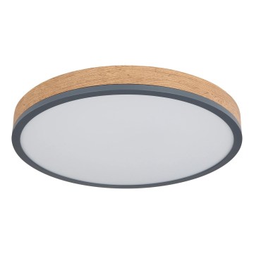 Globo - Plafonnier LED dimmable LED/24W/230V 2700-6500K Ø 45 cm