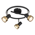Globo - Strahler  3xGU10/25W/230V schwarz/golden