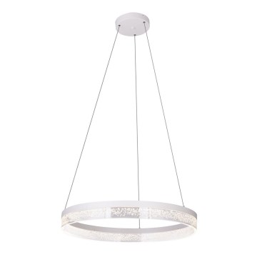 Globo - Suspension fil 1xLED/36W/230V