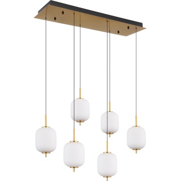 Globo - Suspension filaire 6xLED/6,7W/230V