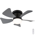 Globo - Ventilateur de plafond à intensité variable LED/10W/230V 3000-6500K gris + télécommande