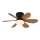 Globo - Ventilatore da soffitto dimmerabile LED/5W/230V 2700-6500K marrone + telecomando