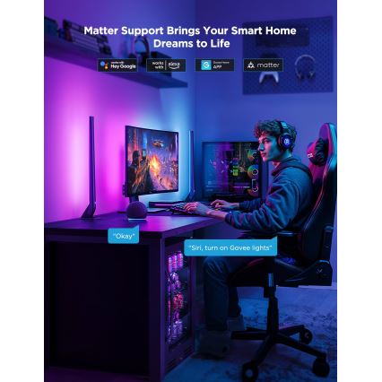 Govee - AI Sync Box Kit 2 Smart kit di illuminazione per PC 27-34 + pannelli LED Wi-Fi