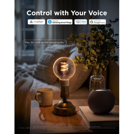 Govee - Ampoule LED RGBWW dimmable Smart MATTER G80 E27/5W/230V 2700-6500K Wi-Fi