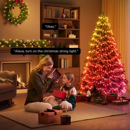 Govee - Catena natalizia a LED RGBICW per esterni 2700-6500K 20m Wi-Fi Matter IP66