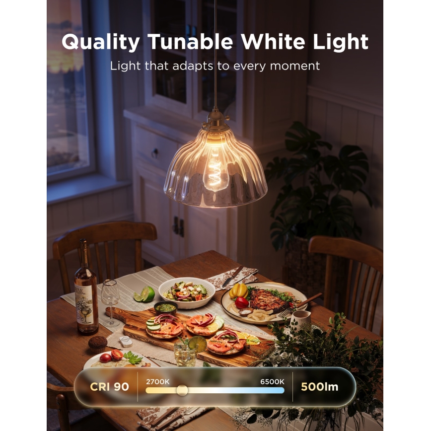 Govee - Lot de 2 ampoules LED RGBWW dimmables Smart MATTER ST64 E27/5W/230V 2700-6500K Wi-Fi