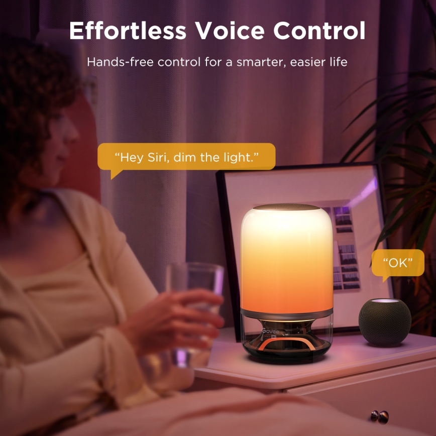 Govee - Lampada da scrivania dimmerabile LED RGBW con altoparlante integrato LED/36W/12V Wi-Fi