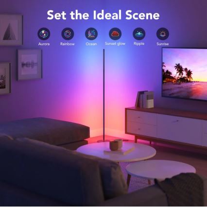 Govee - Lampadaire RGBICW Smart Coin Wi-Fi