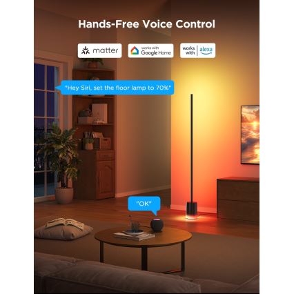 Govee - Lampadaire à intensité variable Smart MATTER LED RGBICWW 2200-6500K Wi-Fi + télécommande