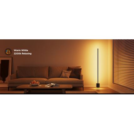Govee - Lampadaire à intensité variable Smart MATTER LED RGBICWW 2200-6500K Wi-Fi + télécommande