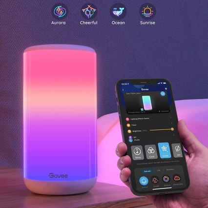Govee - Lampe de table LED RGBIC à intensité variable AURA 2 2200-6500K Wi-Fi Matter