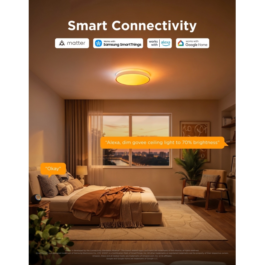 Govee - LED RGBICWW dimmbare Deckenleuchte LED/55W/230V Ø 46 cm Matter Wi-Fi