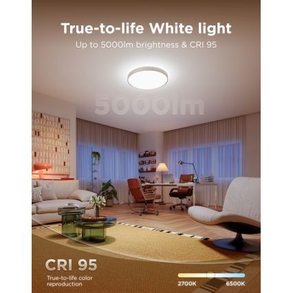 Govee - LED RGBICWW Plafoniera dimmerabile LED/55W/230V Ø 53 cm Matter Wi-Fi