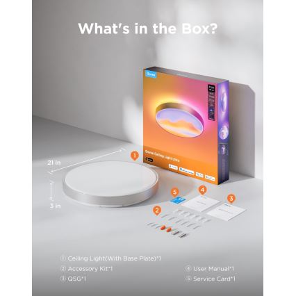 Govee - LED RGBICWW Plafoniera dimmerabile LED/55W/230V Ø 53 cm Matter Wi-Fi