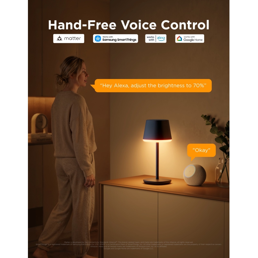 Govee - LED RGBICWW Lampada da tavolo dimmerabile CLASSIC MATTER LED/10W/5V 4800mAh Wi-Fi