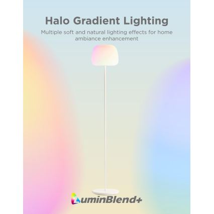 Govee - LED RGBICWW Lampadaire dimmable LANTERN MATTER LED/24W/230V Wi-Fi 160 cm