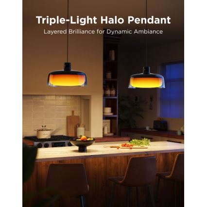 Govee - LED RGBICWW suspension dimmable sur câble LED/21W/230V mat Wi‑Fi