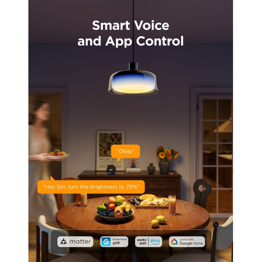 Govee - LED RGBICWW suspension dimmable sur câble LED/21W/230V mat Wi‑Fi