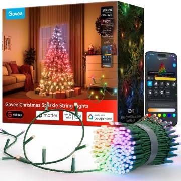 Govee - LED RGBWIC Guirlande de Noël extérieure 2700-6500K 30m Wi-Fi Matter IP65