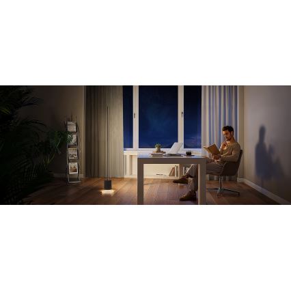 Govee - Dimmbare LED-Stehleuchte mit Lautsprecher Pro RGBICWW 2200-6500K Wi-Fi + Fernbedienung