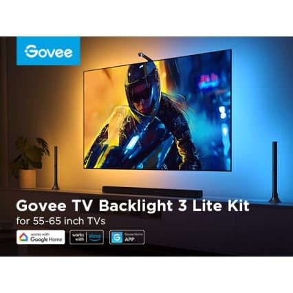 Govee - LOT 2x Rétroéclairage Backlight TV 55-65" SMART LED RGBICW Wi-Fi