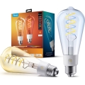 Govee - Lot de 2 ampoules LED RGBWW dimmables Smart MATTER ST64 E27/5W/230V 2700-6500K Wi-Fi