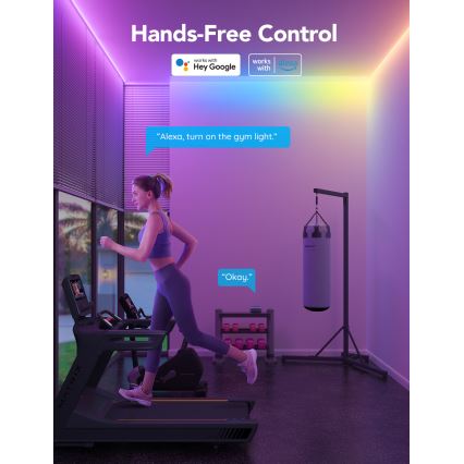 Govee - M1 PRO PREMIUM Smart RGBICW+ Ruban LED 2m Wi-Fi Matter
