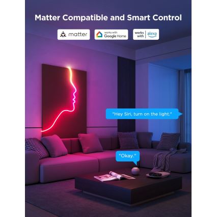 Govee - Neon 2 MATTER pieghevole Striscia LED 5m RGBIC Wi-Fi IP67