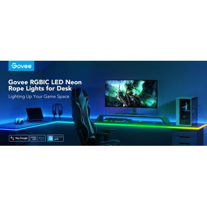 Govee - Neon LED tavolo retroilluminazione 3m RGBIC Wi-Fi