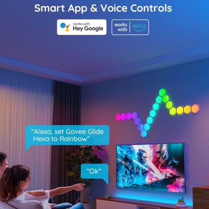 Govee - ENSEMBLE de 10 panneaux LED RGB dimmables LED/36W/230V Wi-Fi