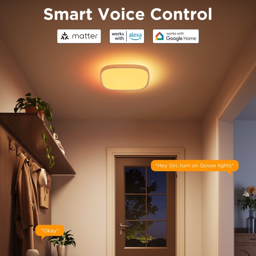 Govee - Plafonnier à intensité variable RGBIC LED/24W/230V 2700-6500K Wi-Fi 30x30 cm