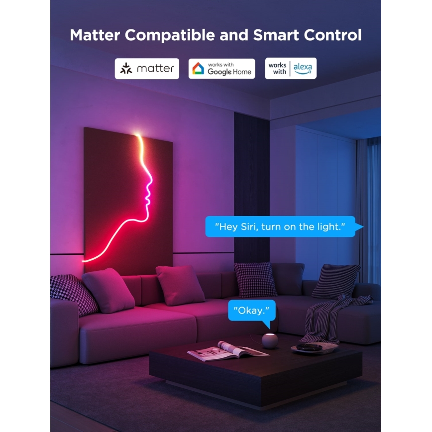 Govee - Ruban LED flexible Neon 2 MATTER 3m RGBIC Wi-Fi IP67