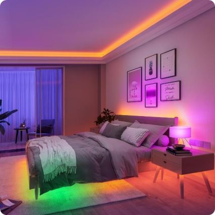 Govee - Ruban Wi-Fi RGBIC Smart PRO 5m - très résistant