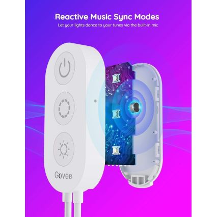 Govee - Ruban Wi-Fi RGBIC Smart PRO 5m - très résistant